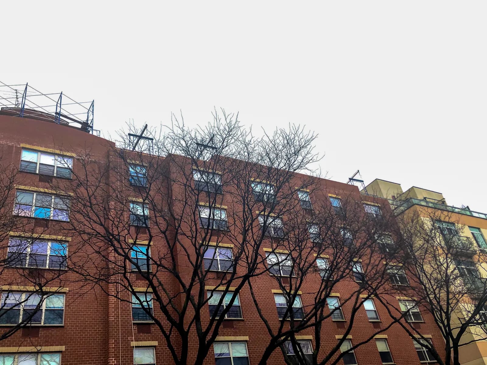 80 Ridge Street completed work photo 2