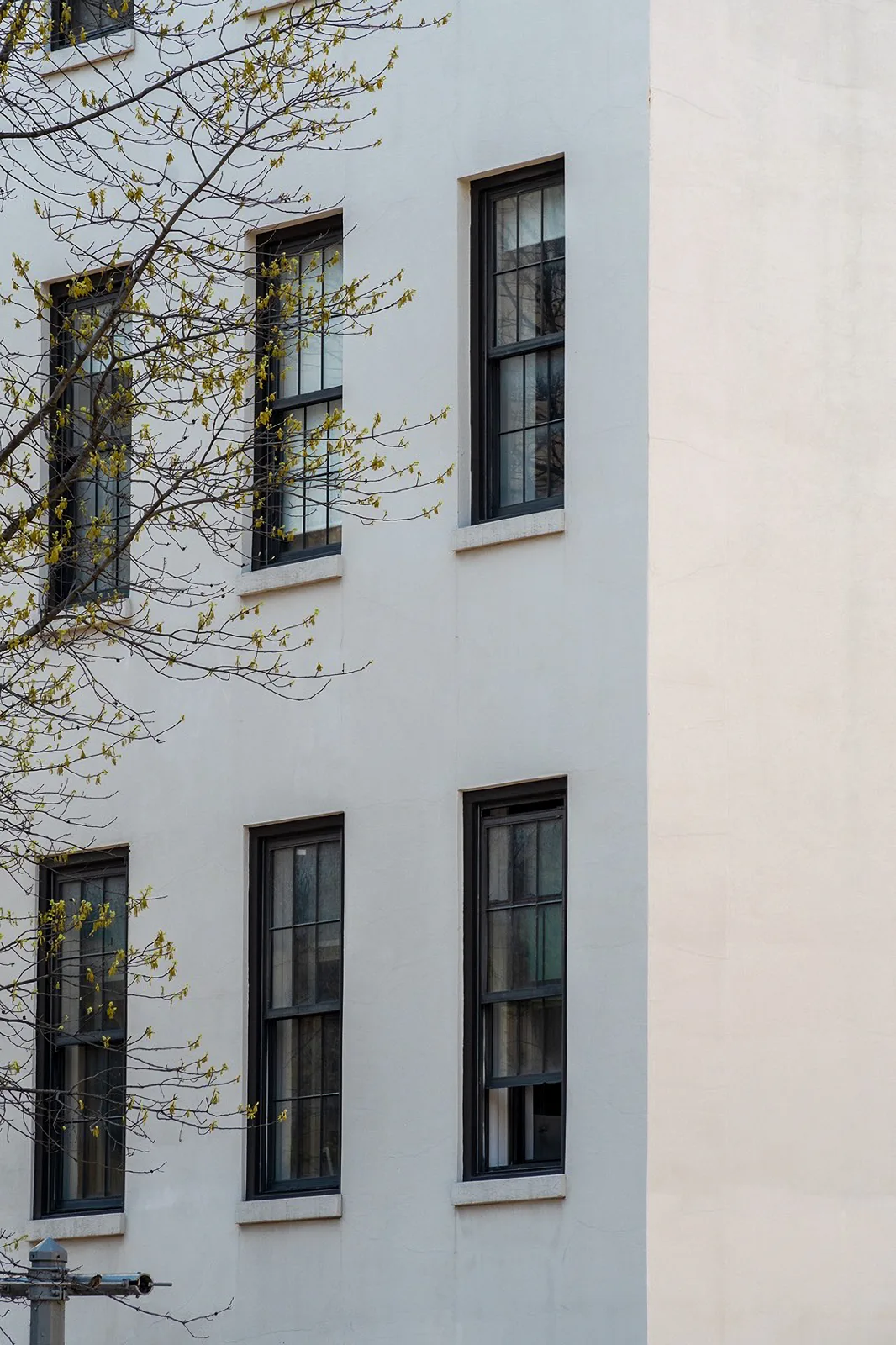 866 Lexington Avenue completed work photo 5